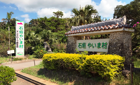 写真:やいま村